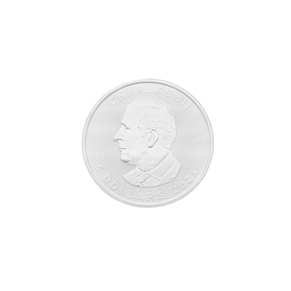 Silver 1 Ounce Canadian Dollar Coin 999.0 Purity - FKJCONSL6847